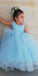Blue Tulle A-Line Sleeveless Flower Girl Dresses, Popular Lace Little Girl Dresses, FC1450