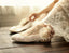 Sweet Princess Lace Pointed Toes Wedding Bridal Shoes With Handmade Flower, S029